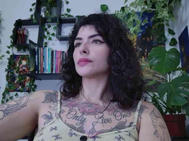 talimajesty webcam