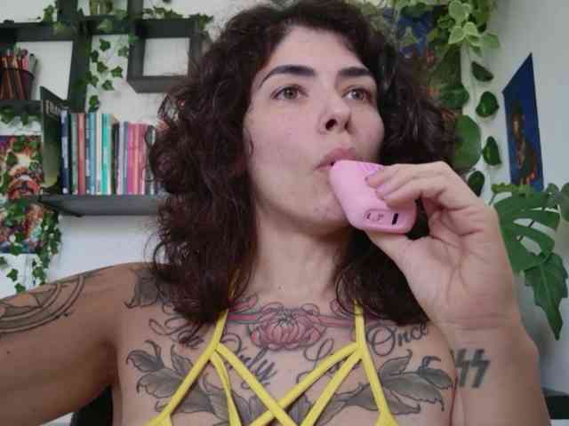 talimajesty webcam