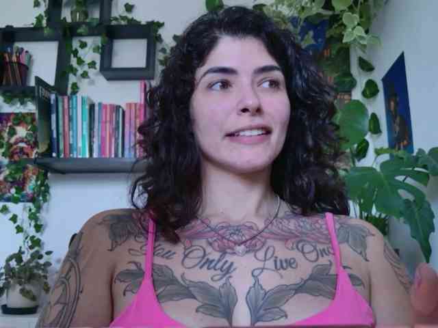 talimajesty webcam