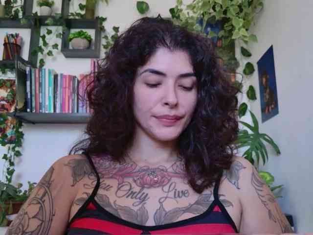 talimajesty webcam