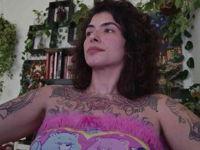 talimajesty webcam