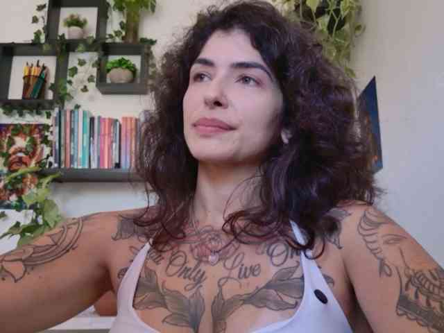 talimajesty webcam
