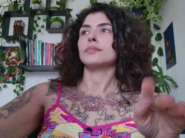 talimajesty webcam