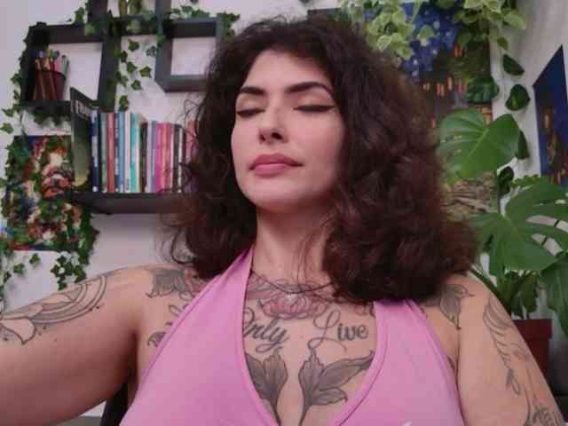 talimajesty webcam
