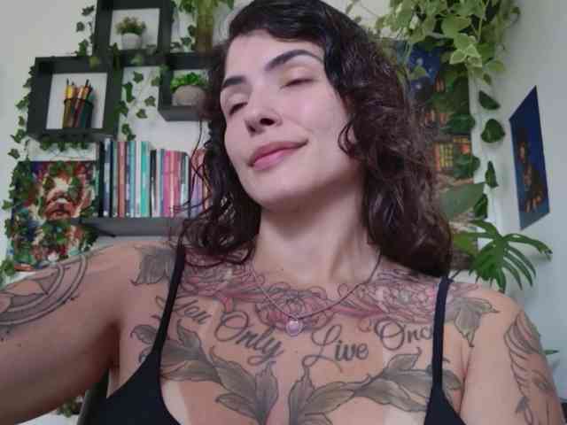 talimajesty webcam