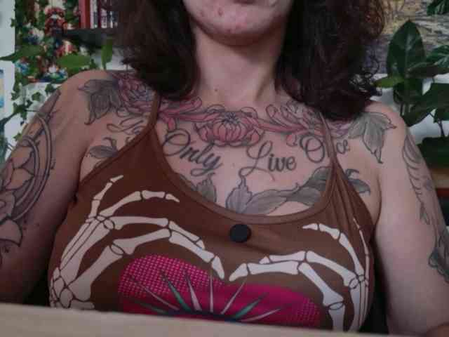 talimajesty webcam