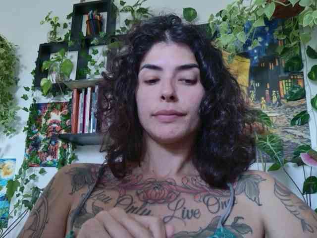 talimajesty webcam