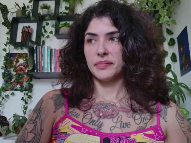 talimajesty webcam