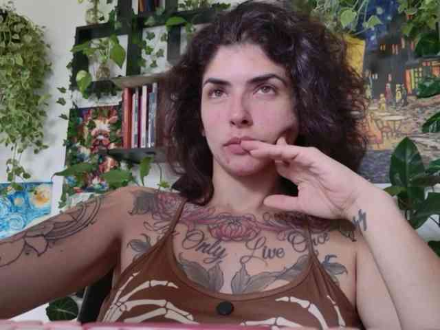 talimajesty webcam