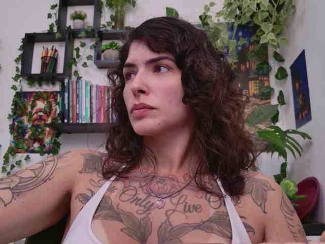 talimajesty webcam