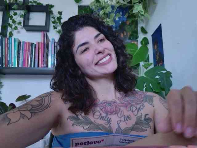 talimajesty webcam