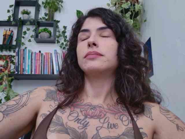 talimajesty webcam
