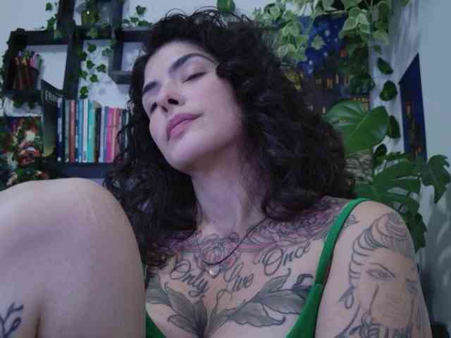 talimajesty webcam