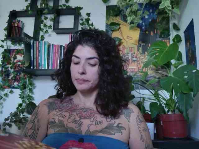 talimajesty webcam