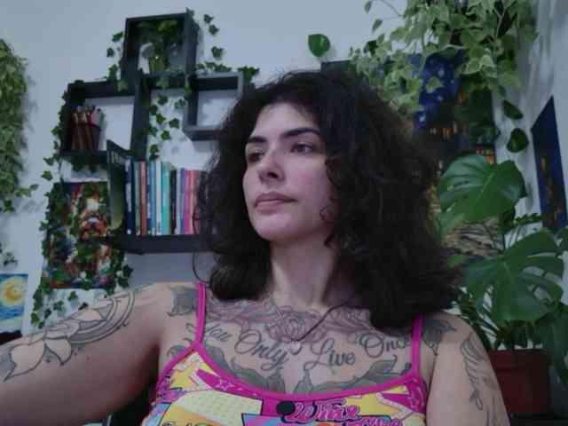 talimajesty webcam