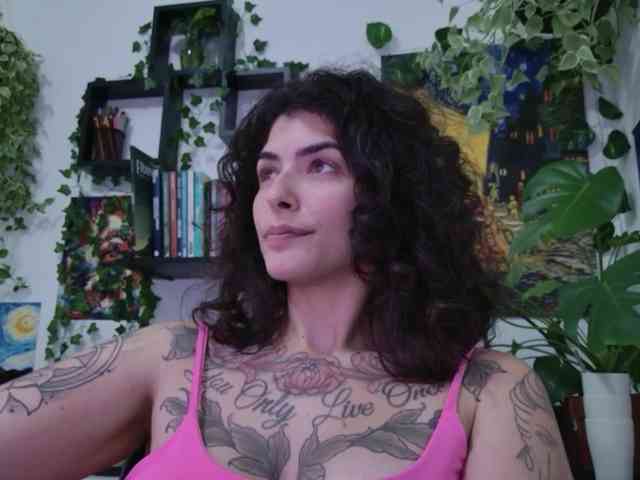 talimajesty webcam