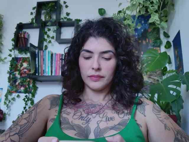 talimajesty webcam