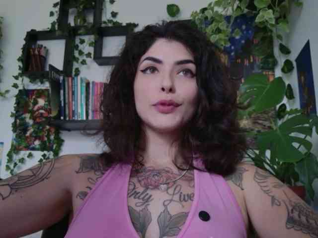talimajesty webcam