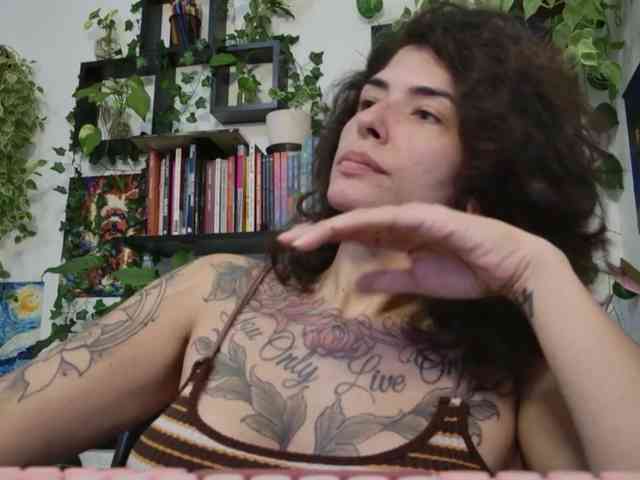talimajesty webcam