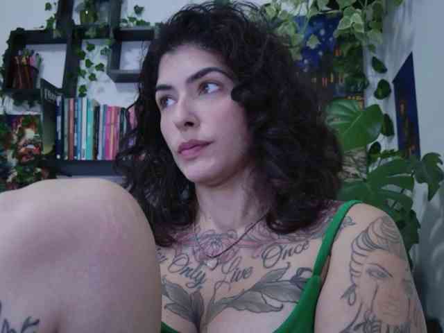 talimajesty webcam