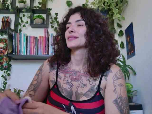 talimajesty webcam