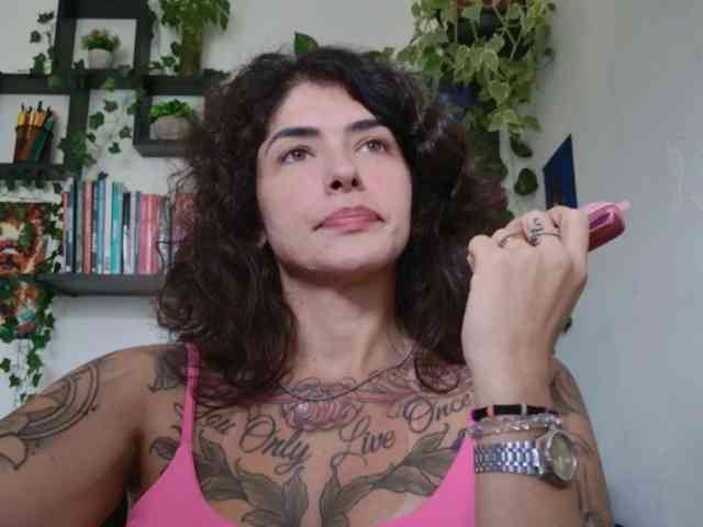 talimajesty webcam