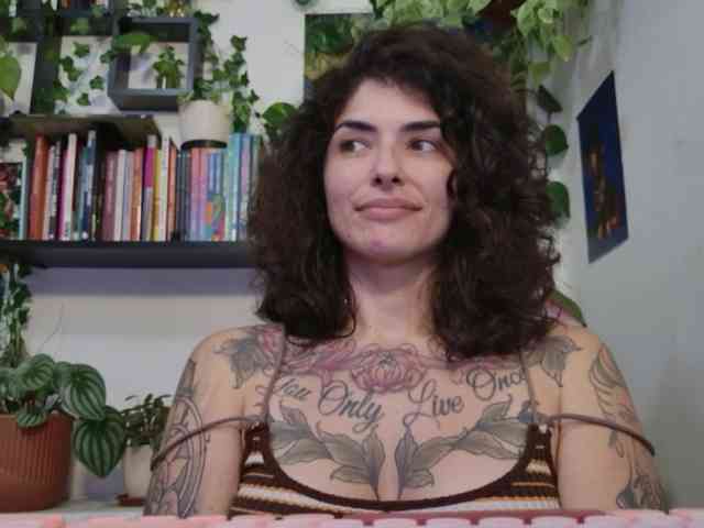 talimajesty webcam