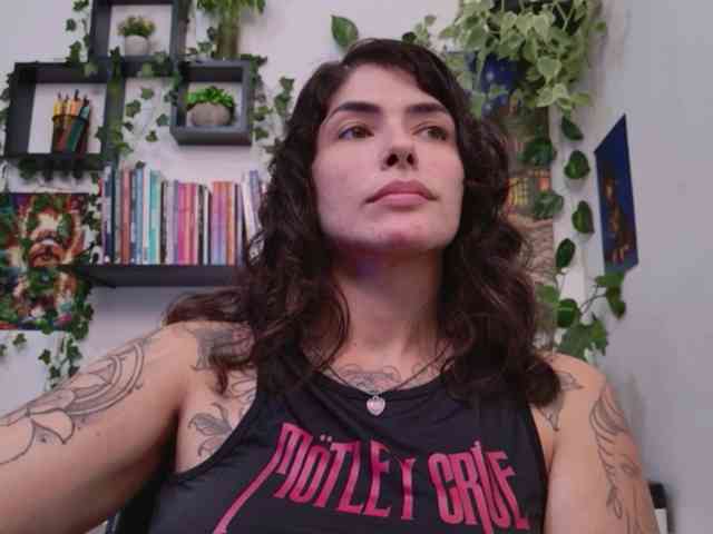 talimajesty webcam