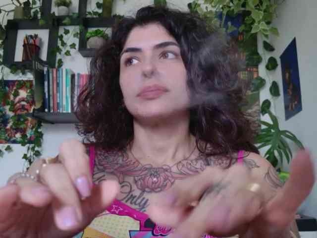 talimajesty webcam