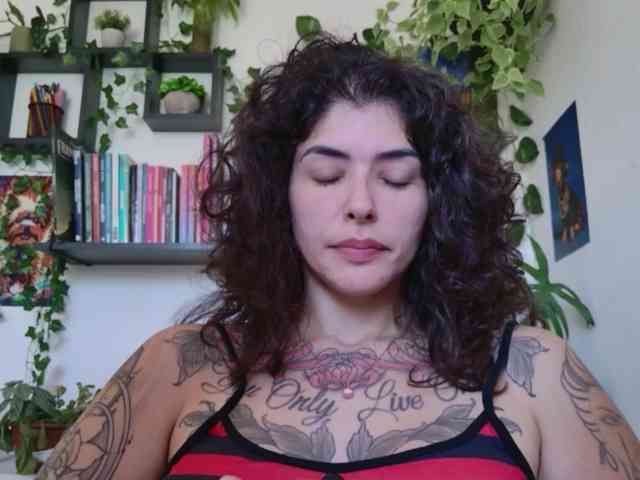 talimajesty webcam