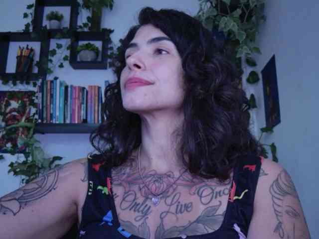 talimajesty webcam