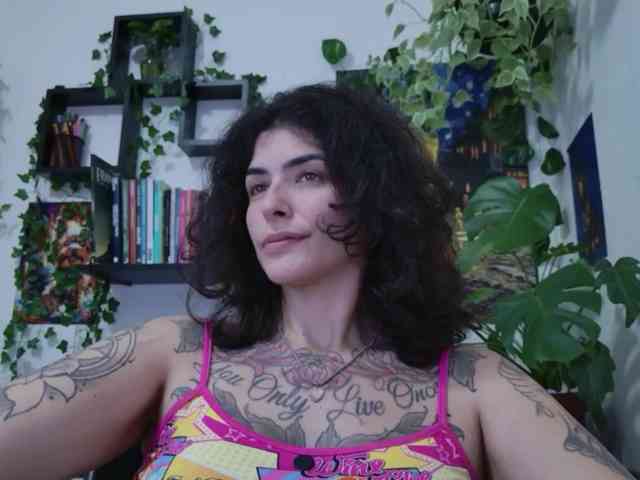 talimajesty webcam