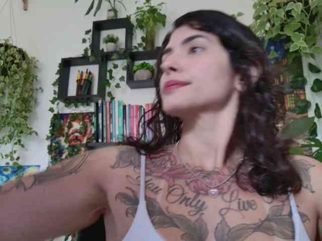 talimajesty webcam