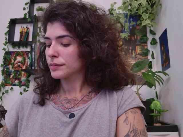 talimajesty webcam