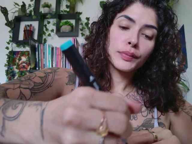 talimajesty webcam