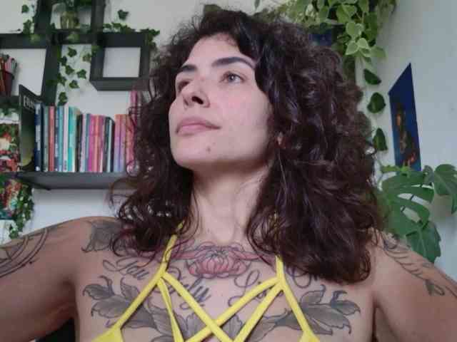 talimajesty webcam