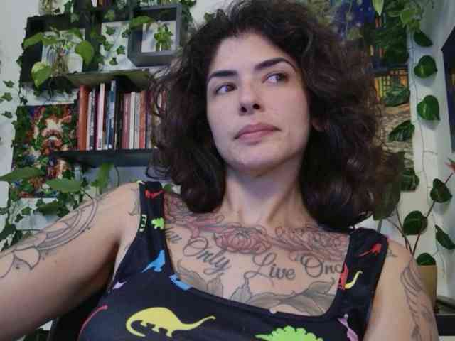 talimajesty webcam