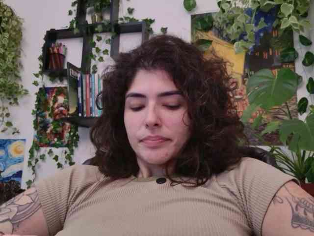 talimajesty webcam