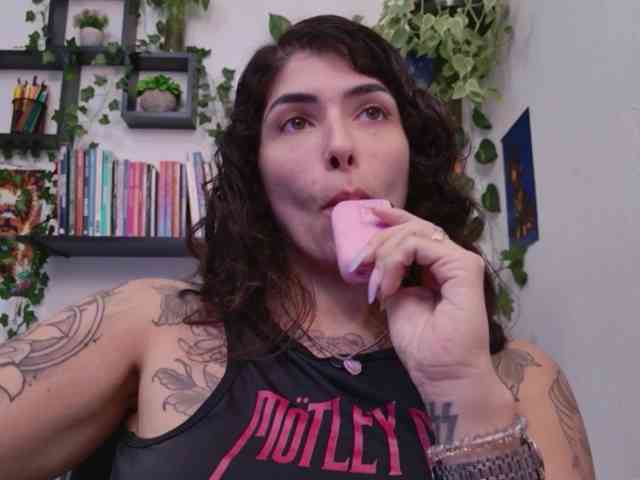 talimajesty webcam