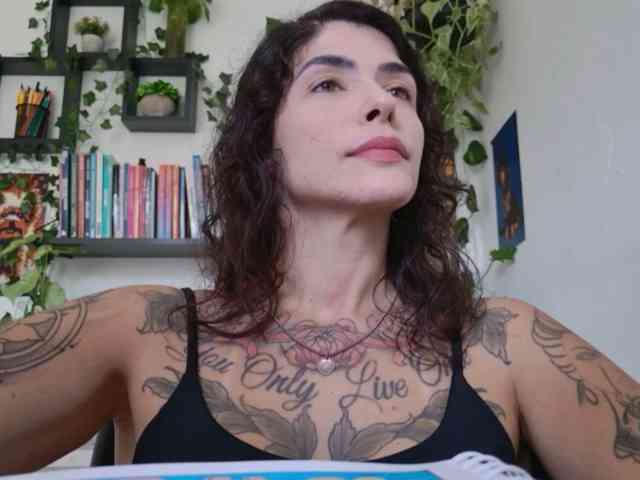 talimajesty webcam