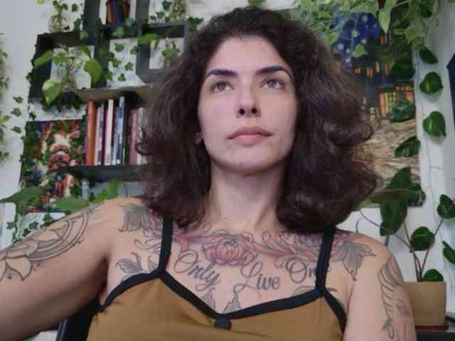 talimajesty webcam