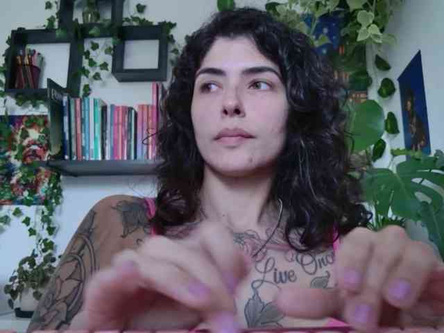 talimajesty webcam