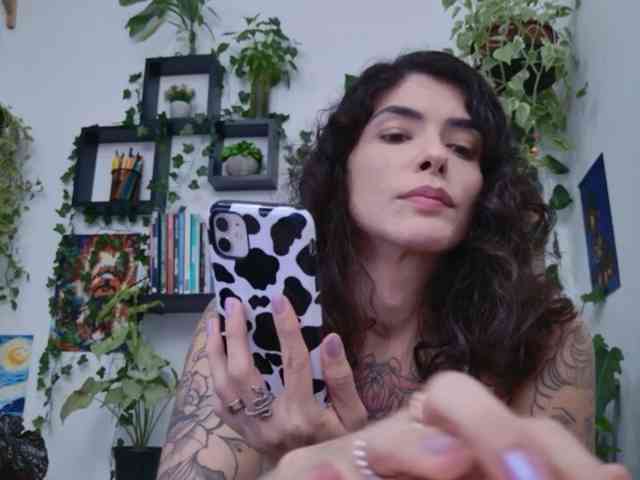 talimajesty webcam