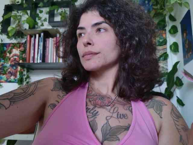 talimajesty webcam