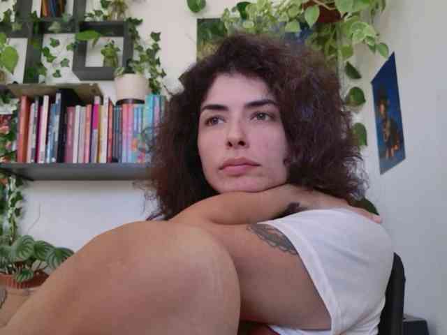 talimajesty webcam