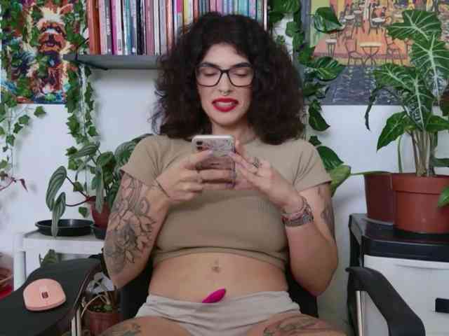 talimajesty webcam