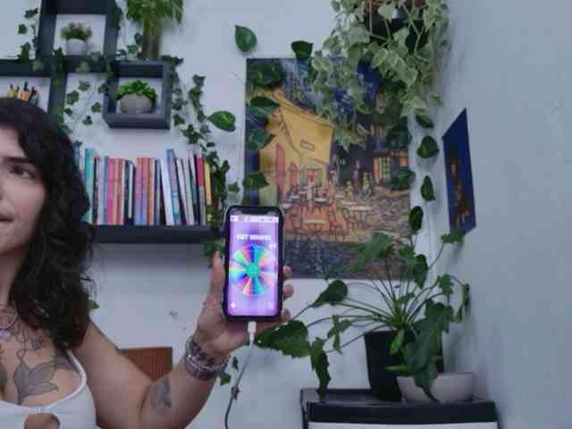 talimajesty webcam