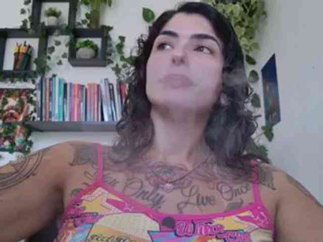 talimajesty webcam