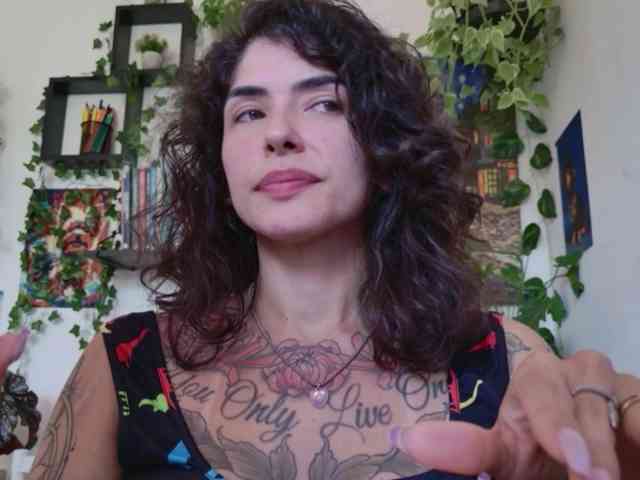 talimajesty webcam
