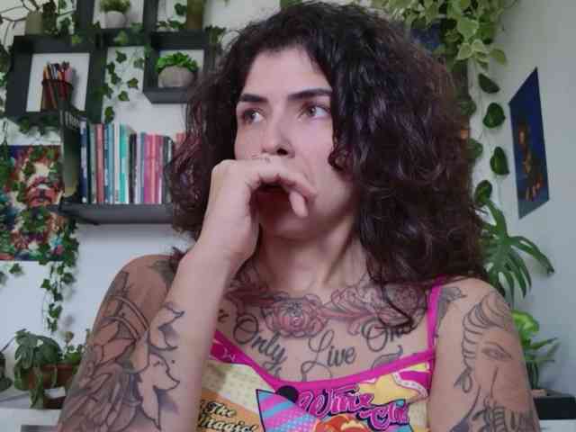 talimajesty webcam